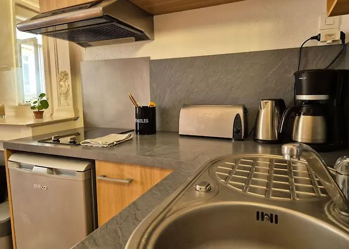 Apartman L'iconique - Hypercentre - Wifi *